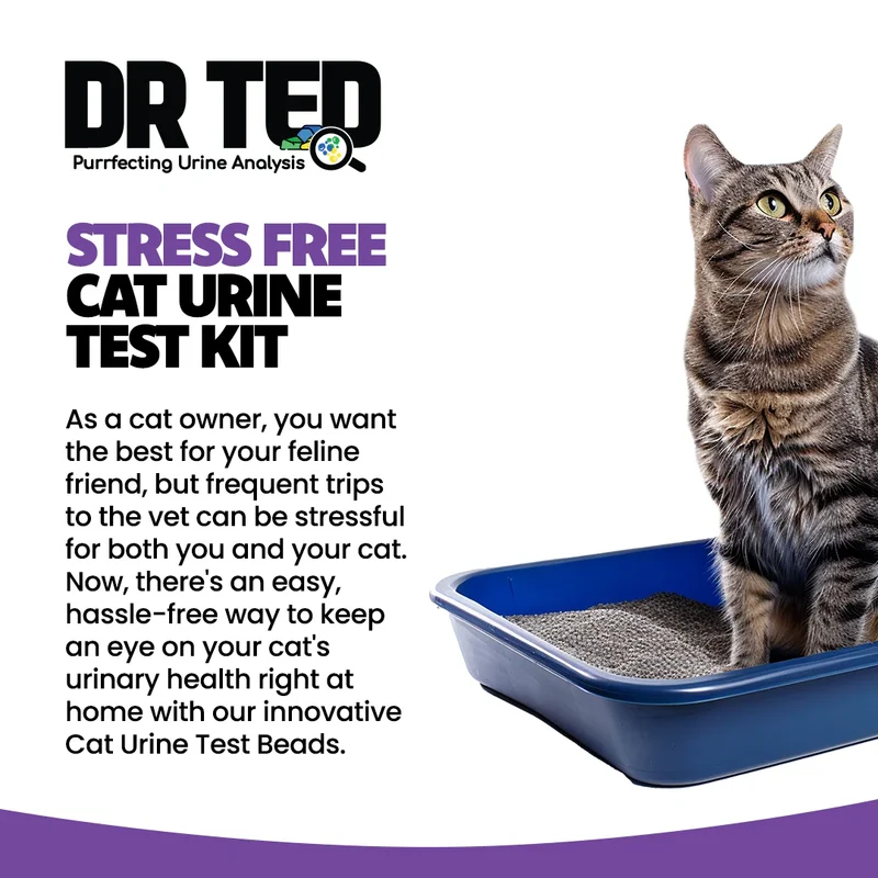 DR TED Cat Urine Test Kit For Glucose Detector 10g