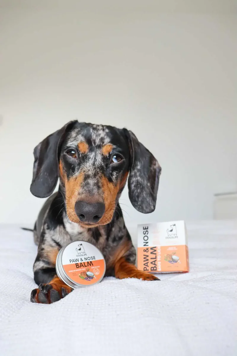 OurDogsLife Paw & Nose Balm for Dogs 60ml