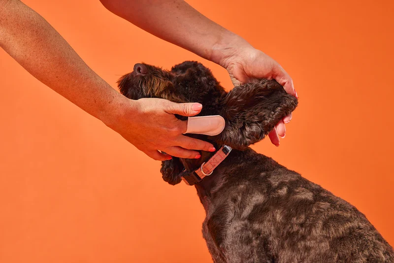 OurDogsLife Ear Wipes for Dogs 50pcs