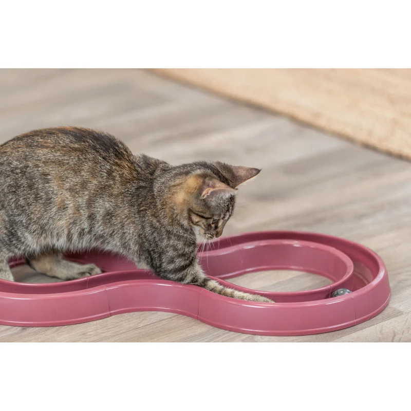 Trixie Katzenspielzeug Spielschiene Flashing Ball Race