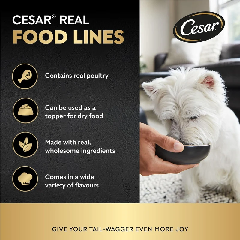 Cesar Chicken Wet Dog Food 100G