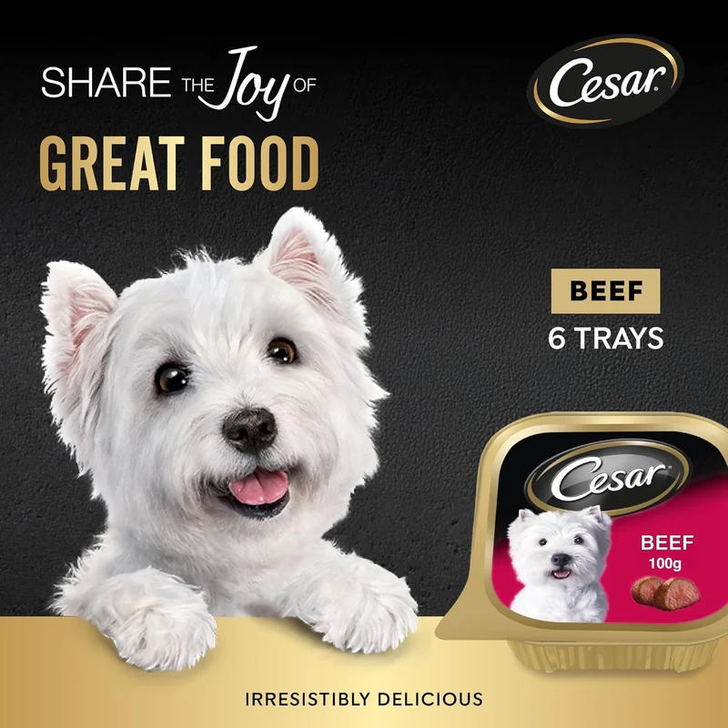 Cesar Beef 5+1 FREE Promo Pack Wet Dog Food 6X100G