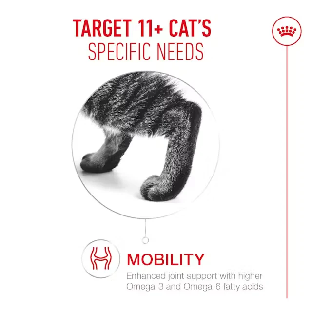 Royal Canin Ageing 11+ Chunks in Jelly Wet Cat Food - 85G