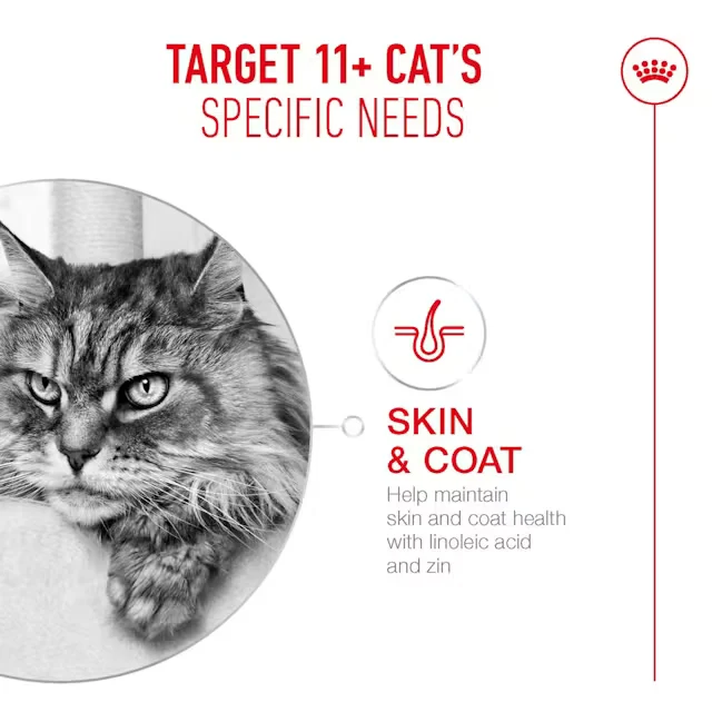 Royal Canin Ageing 11+ Chunks in Jelly Wet Cat Food - 85G