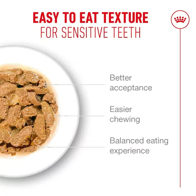 Royal Canin Ageing 11+ Chunks in Jelly Wet Cat Food - 85G