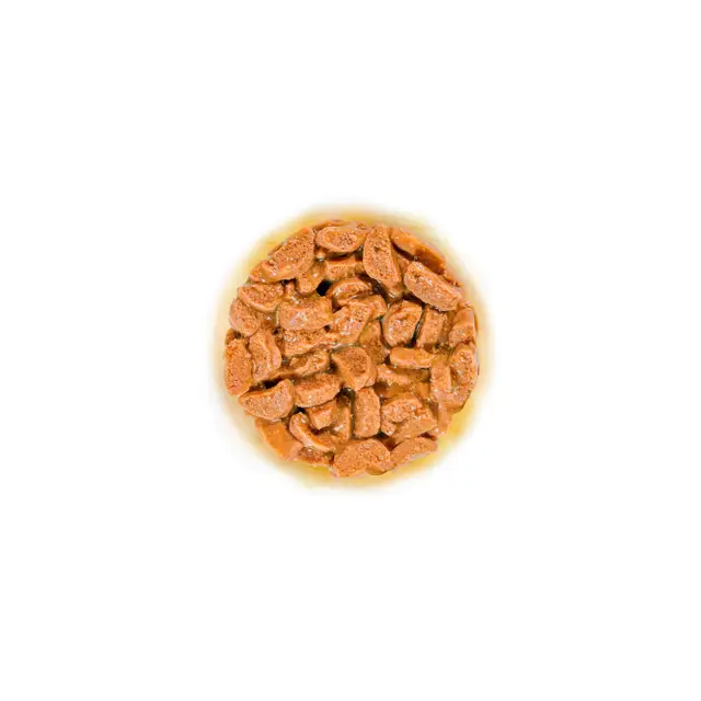 Royal Canin Ageing 11+ Chunks in Gravy Wet Cat Food - 85G