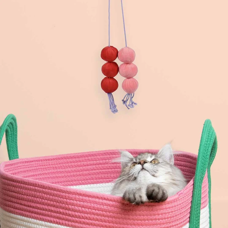 Ebi Coockoo Dizzy Dangle Bouncy Cat Chase Toy - Red & Pink/60x4x4cm