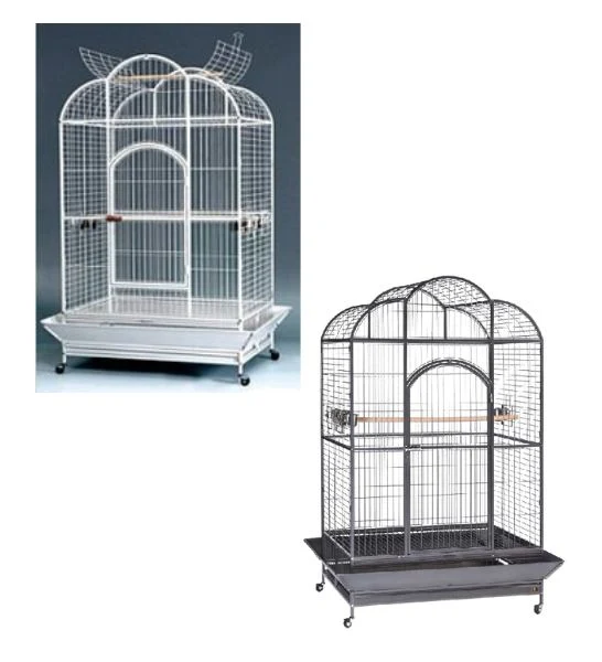 Tropical Bird Macaw Kingdom Bird Cage