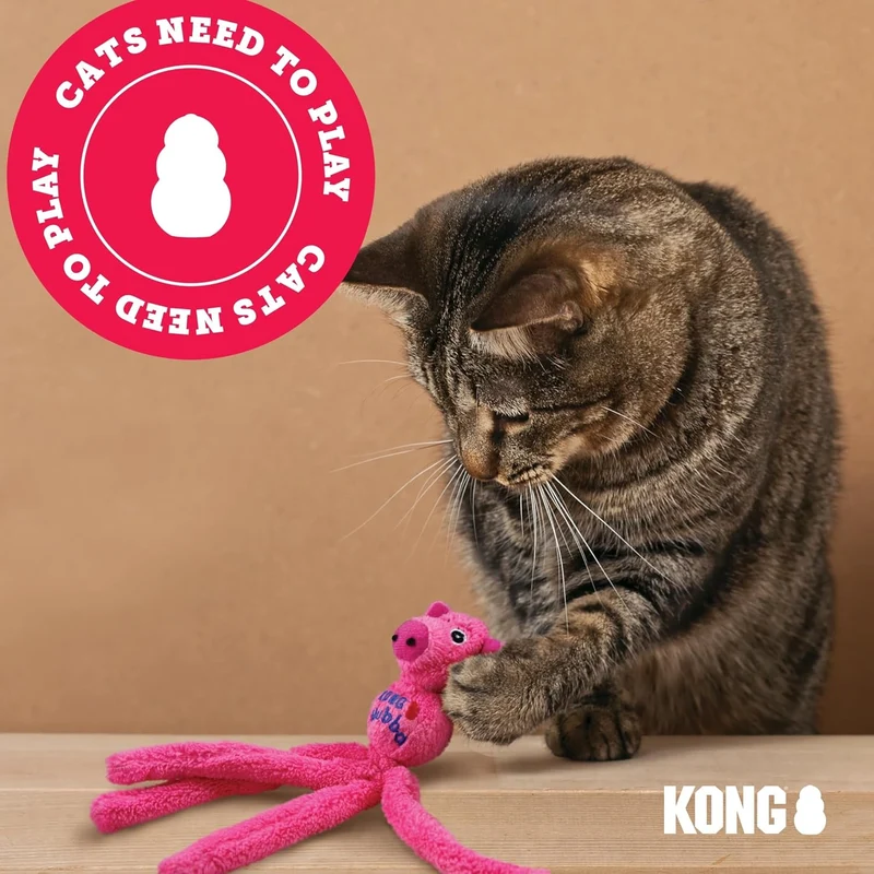 Kong Natural Catnip Spray 1Oz