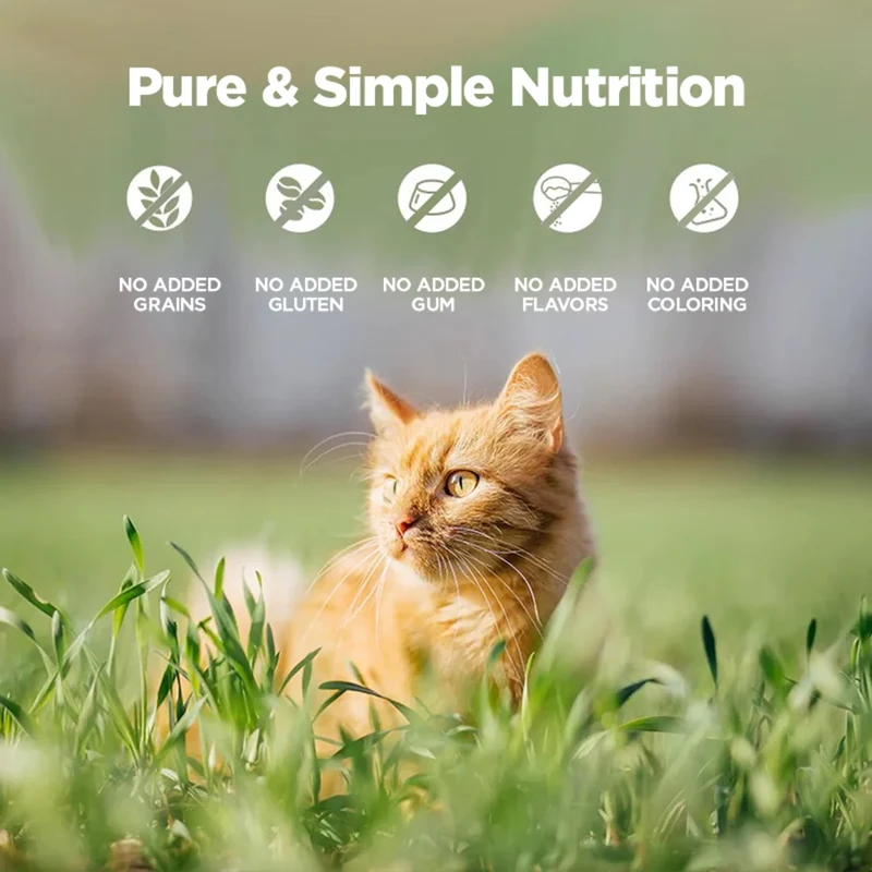 Zeal Grain Free Venison Recipe Wet Cat Food 90G