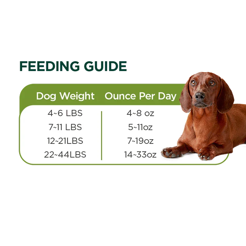 Zeal Grain Free Lamb Recipe Wet Dog Food 390G