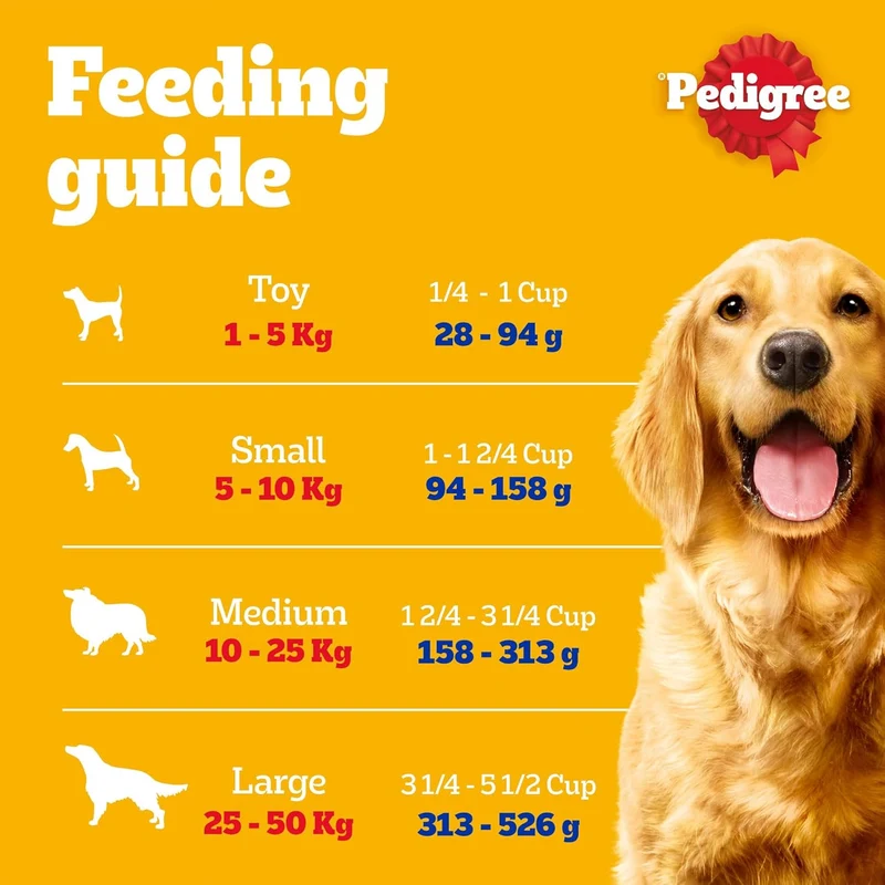 Pedigree Chicken & Vegetables Adult Dry Dog Food 3KG - Pack of 5