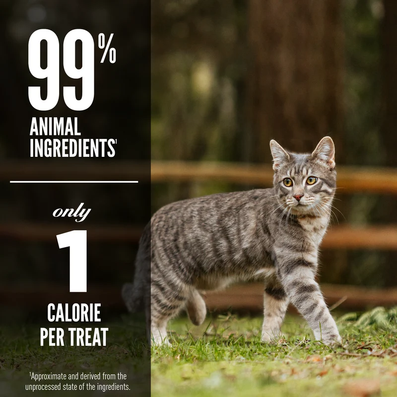 Orijen Six Fish Freeze Dried Cat Treats 35g