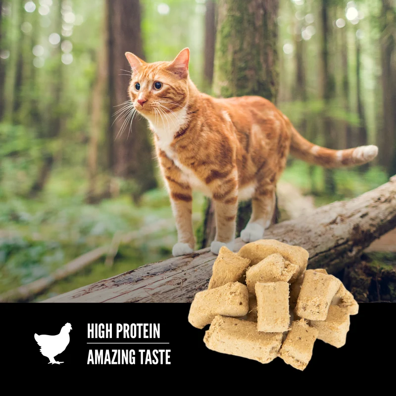 Orijen Original Freeze Dried Cat Treats 35g