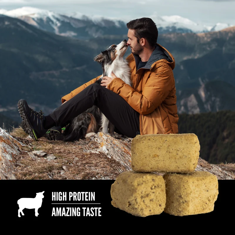 Orijen Lamb Recipe Freeze Dried Dog Treats 92g