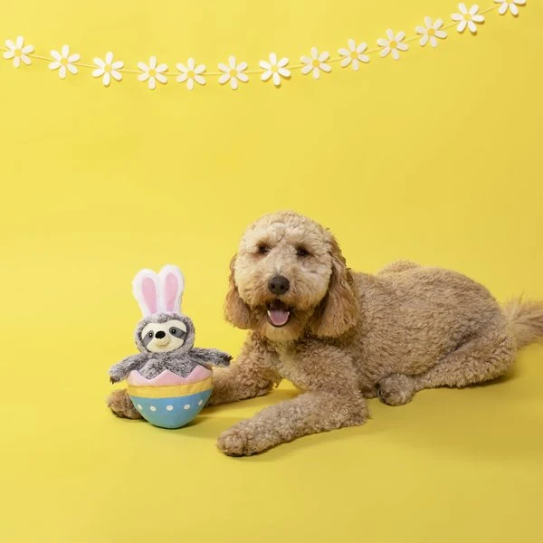 Petshop by Fringe Studio Eggstra Special Sloth Squeaker - Cuddly Plush Dog Toy 30cm