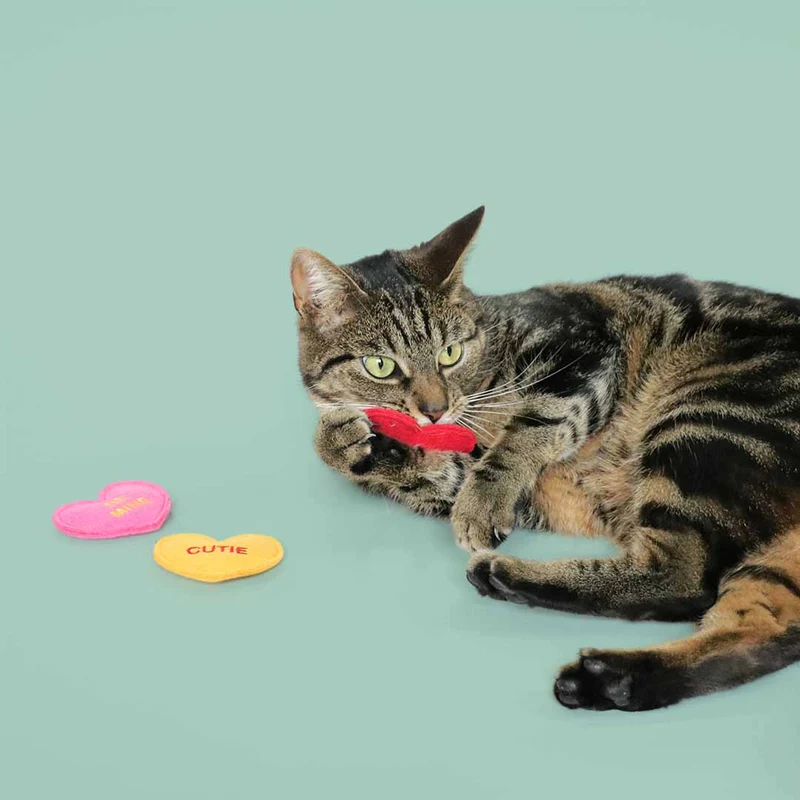 Ebi Coockoo Heartfelt Valerian Cat Chew Toy - Pink/7x6x1.2cm