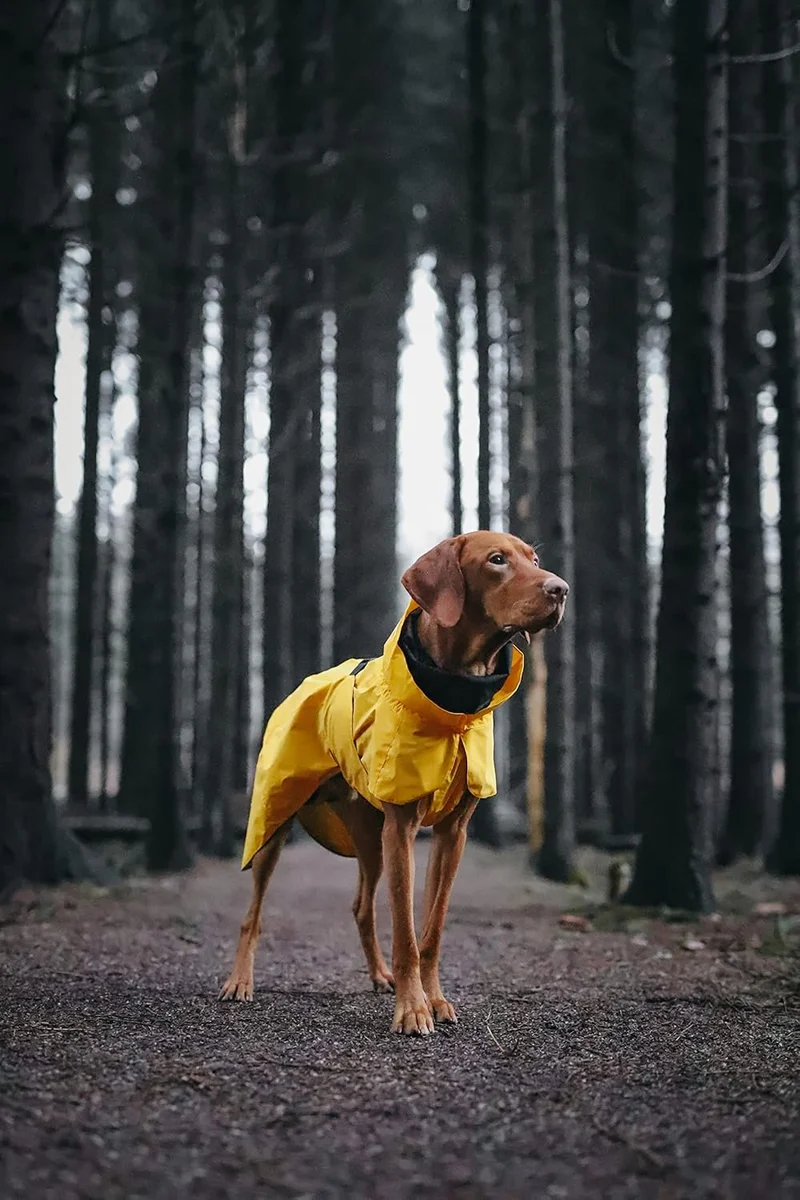 PAIKKA Raincoat Lite for Dogs - 100% Waterproof 40cm - Yellow