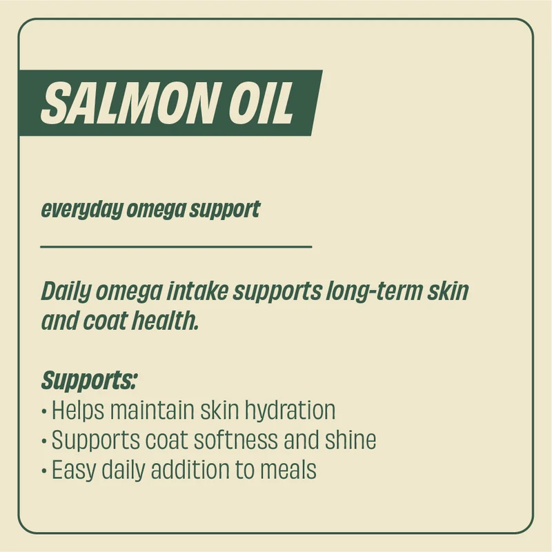 Buddycare Salmon Oil 500ml