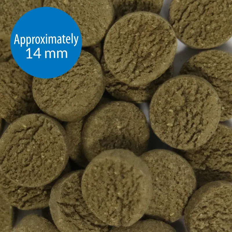API Algae Eater Wafers Fish Food 3.7oz