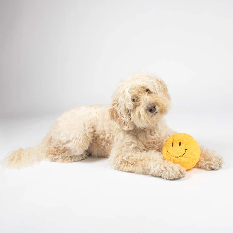 Ebi Coockoo Giggly Gary Cuddle Dog Toy Yellow 12cm