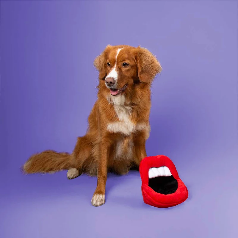 Ebi Coockoo Happy Hangry Cuddle Dog Toy Red 17x18x18cm