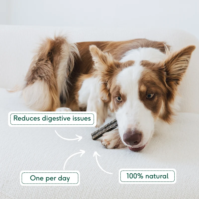 Wild Balance Rabbit, Chamomile & Sage Dental Sticks for Sensitive Stomach Dog Treat 7PCS
