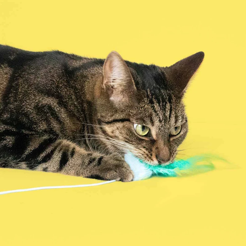 Ebi Coockoo Tilly Tickle Telescopic Cat Rod Chase Toy - Green/40x4x4cm