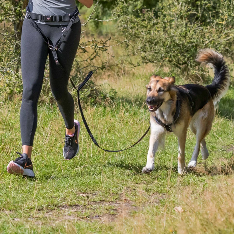 Trixie Cani-Cross Waist Belt with Leash for Medium & Large Dog 70-130cm