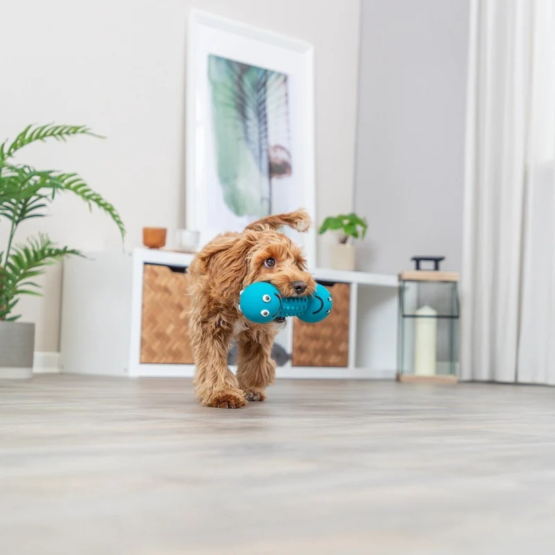 Smiley Hantel Hundespielzeug aus Latex