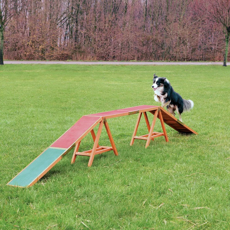 Agility Steg