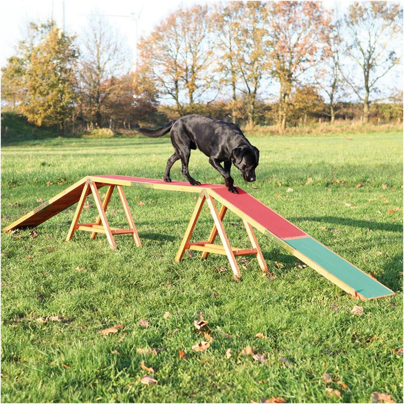 Agility Steg