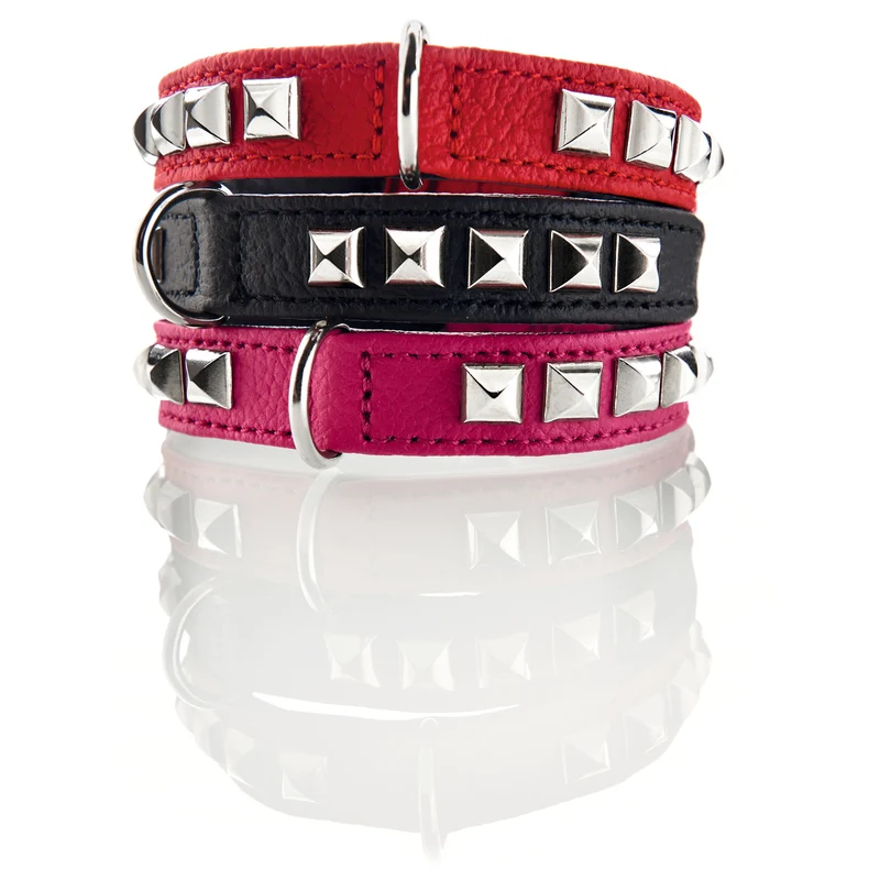 Halsband Rocky Petit für kleine Hunde