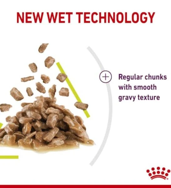 Royal Canin Feline Health Nutrition Sensory Smell Chunks In Gravy Cat Wet Food 85G - Pack of 12