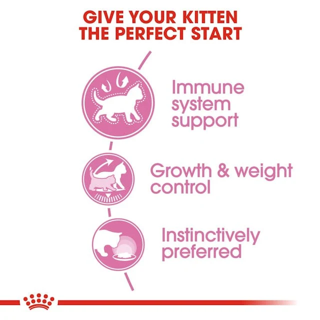 Royal Canin Kitten Sterilised In Jelly Wet Food 85G - Pack of 12