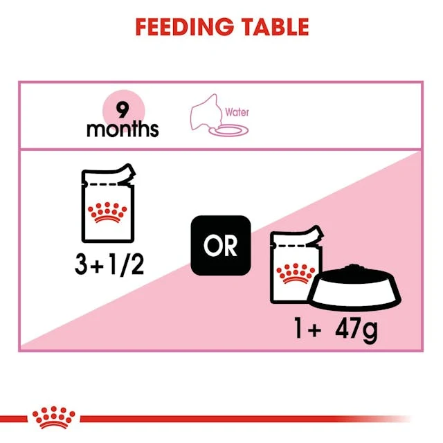 Royal Canin Kitten Sterilised In Jelly Wet Food 85G - Pack of 12
