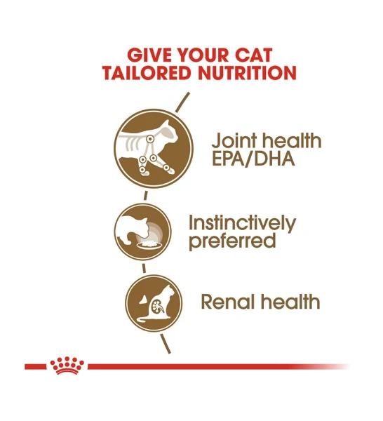 Royal Canin Ageing 12+ Chunks In Jelly Wet Cat Food 85G - Pack of 12