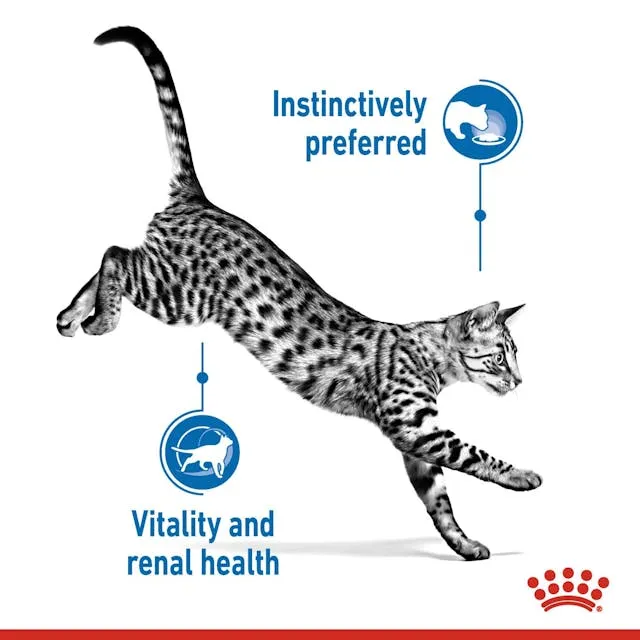 Royal Canin Indoor Sterilised 7+ Morsels In Jelly Cat Wet Food 85G - Pack of 12