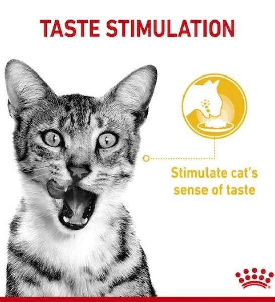 Royal Canin Feline Health Nutrition Sensory Taste Chunks In Gravy Cat Wet Food - Pack of 12