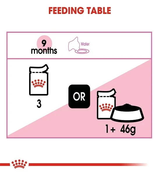 Royal Canin Kitten Sterilised in Gravy Wet Food 85G - Pack of 12