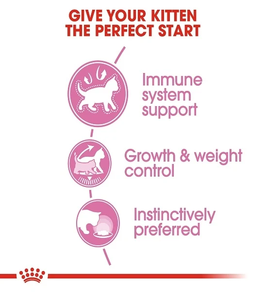 Royal Canin Kitten Sterilised in Gravy Wet Food 85G - Pack of 12