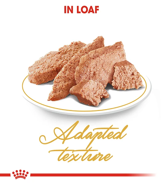 Royal Canin Persian Adult Wet Cat Food 85g - Pack of 12
