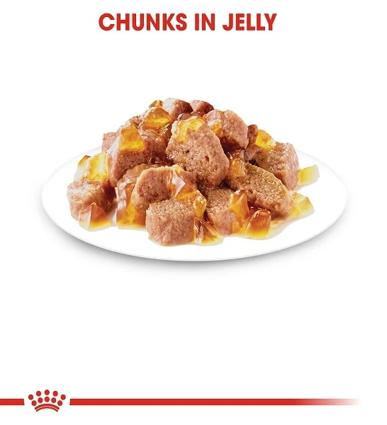 Royal Canin Hair & Skin In Jelly Adult Wet Cat Food 85G - Pack of 12