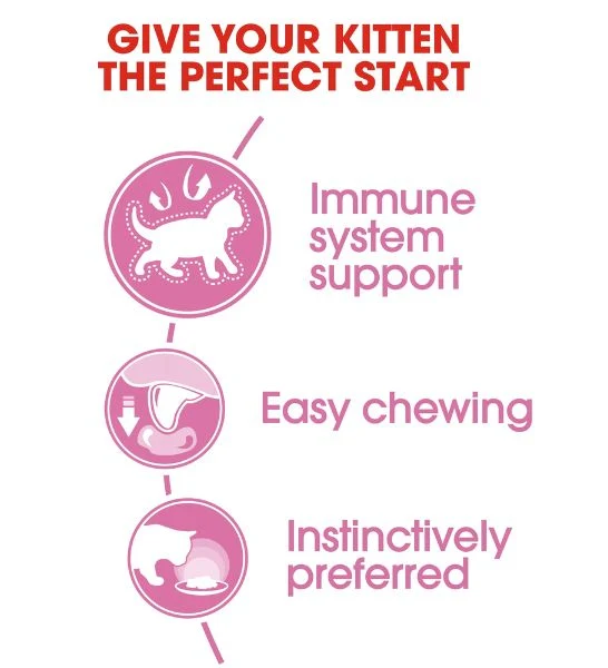 Royal Canin Kitten Instinctive in Jelly Wet Food 85G - Pack of 12
