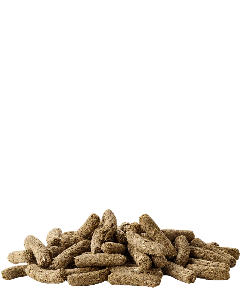 Versele Laga Complete Cuni Adult Rabbit Food 500G