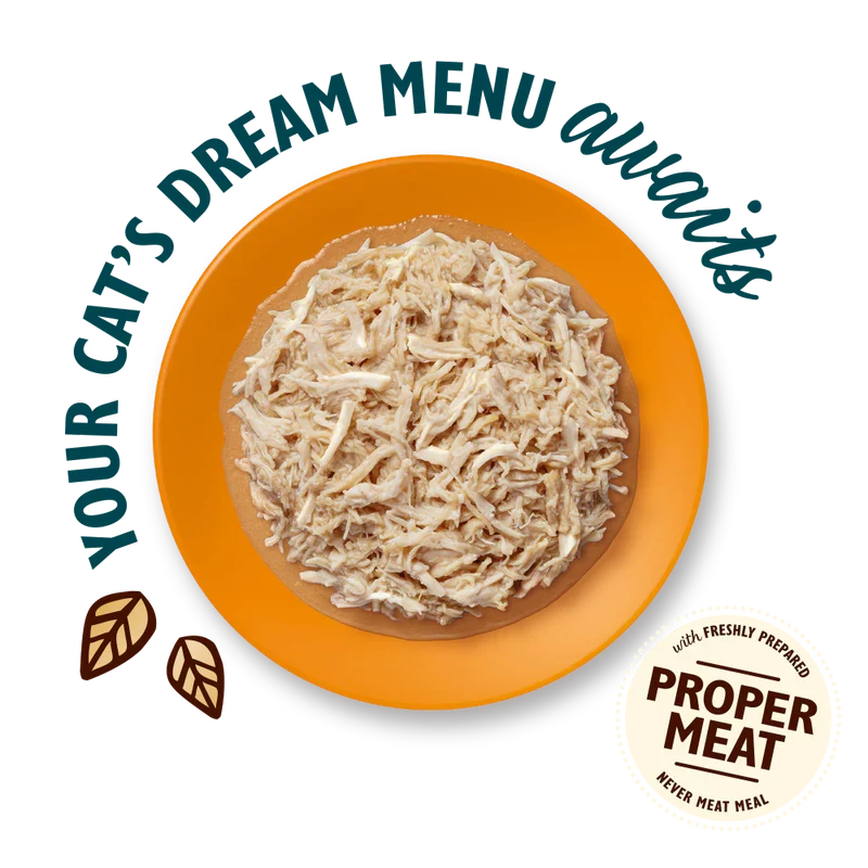 Lily’s Kitchen Shredded Fillets In Broth Chicken Wet Cat Food 70G