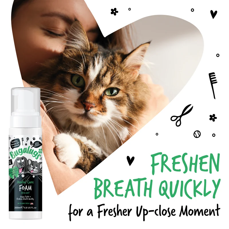 Bugalugs Dental Care Foam in Fresh Mint For Dogs & Cats 200ML