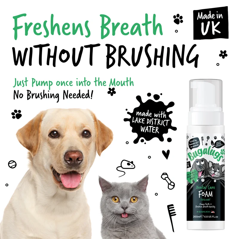 Bugalugs Dental Care Foam in Fresh Mint For Dogs & Cats 200ML