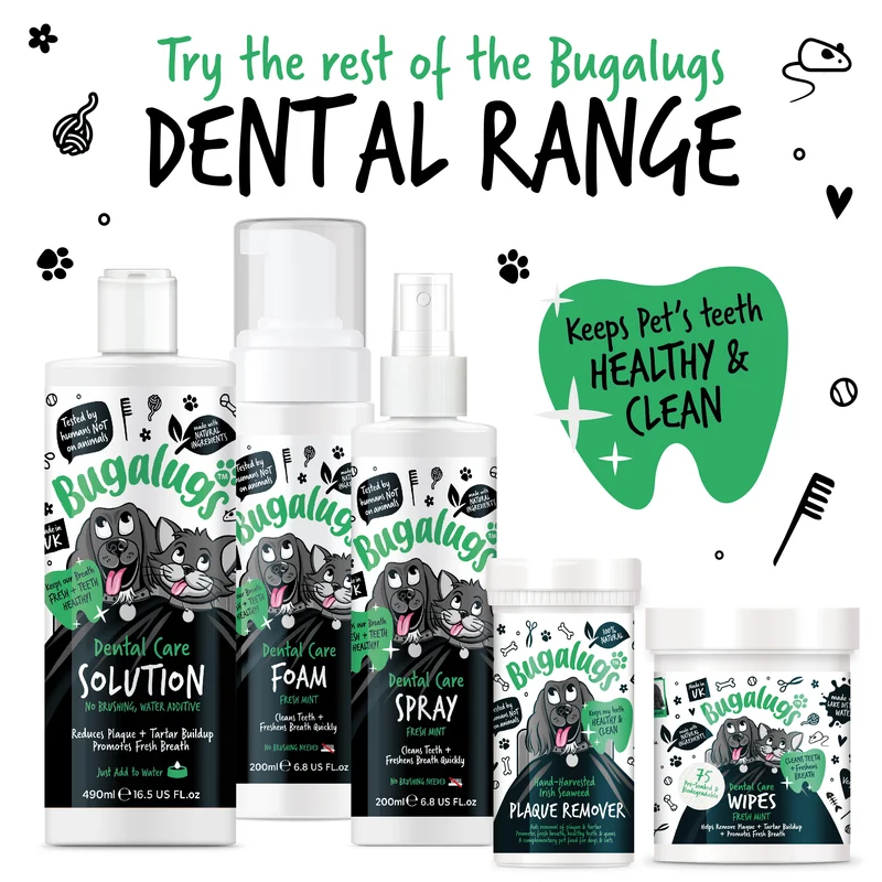 Bugalugs Dental Care Foam in Fresh Mint For Dogs & Cats 200ML