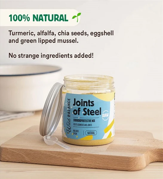 Wild Balance Joints of Steel Supplement for Dogs & Cats 100g